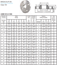 FICHA TECNICA BRIDA SOLDABLE CLASE 150