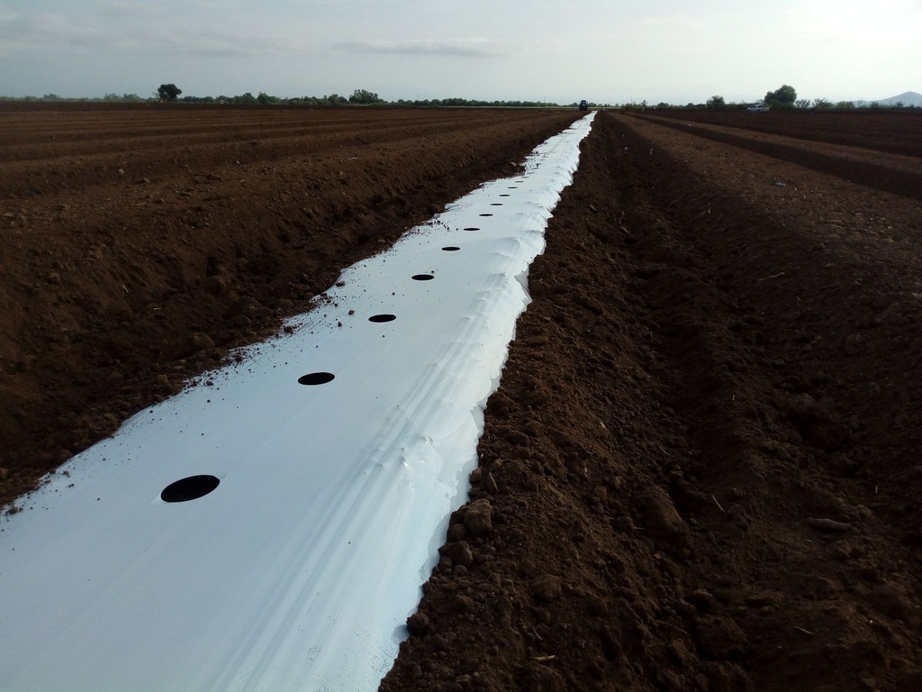 ACOLCHADO AGRICOLA B/N CALIBRE 090 1.2X915 MT