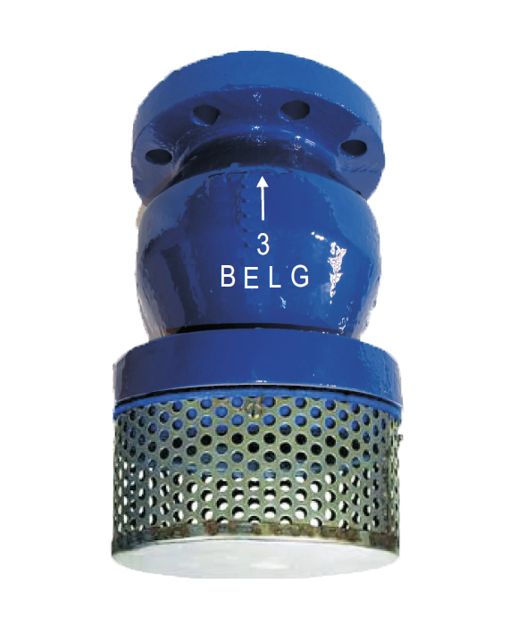 VÁLVULA CHECK PICHANCHA BRIDADA HIERRO DÚCTIL 8 PULGADAS CLASE 150