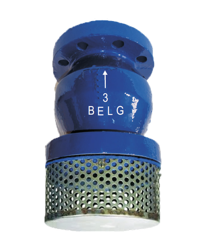 [VCP.HDB.063] VÁLVULA CHECK PICHANCHA BRIDADA HIERRO DÚCTIL 2-1/2 PULG (063MM) CLASE 150