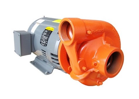 [M34.E50.436] ELECTROBOMBA PARA RIEGO BERKELEY 50HP B3ZPLS 3X4 NPT 440VOLTS