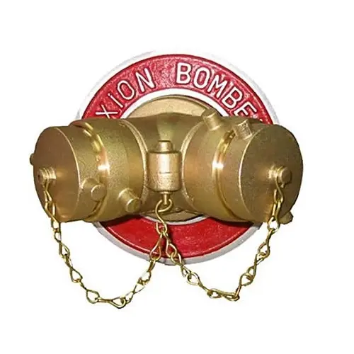 [TSB.100.068] TOMA SIAMESA BRONCE 4X2-1/2